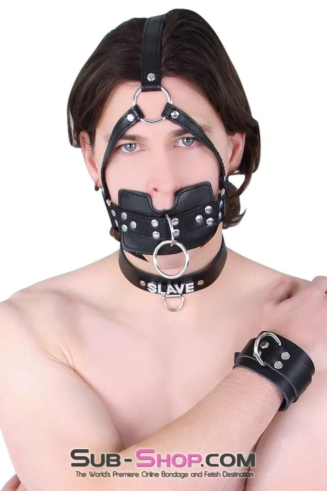 6163M      Head Trainer Panel Gag Trainer Ball Gag with Lead Ring