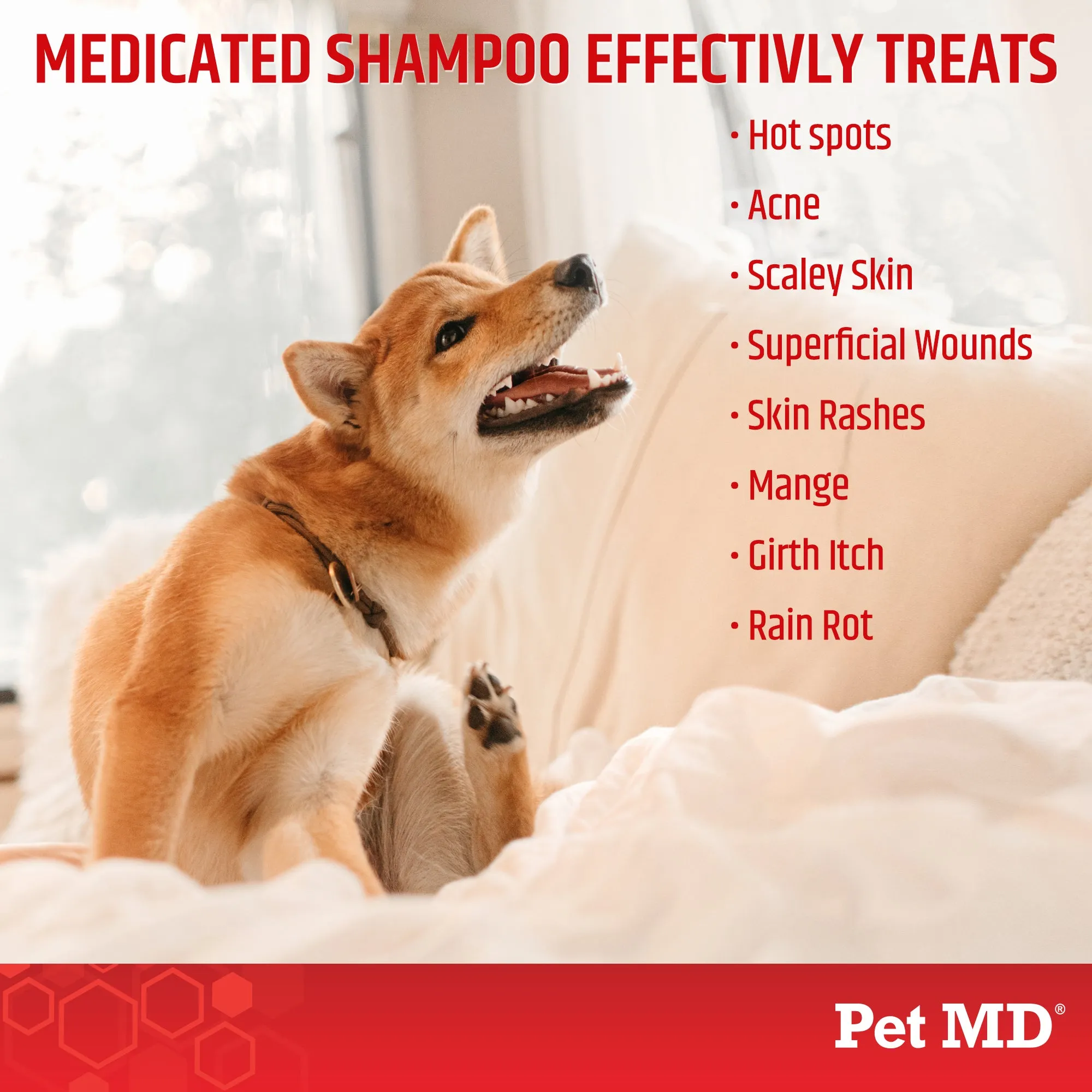 Antiseptic & Antifungal Medicated Shampoo for Dogs, Cats, & Horses - 8 oz