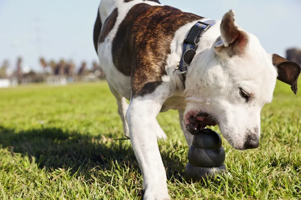 Extreme Dog Toy