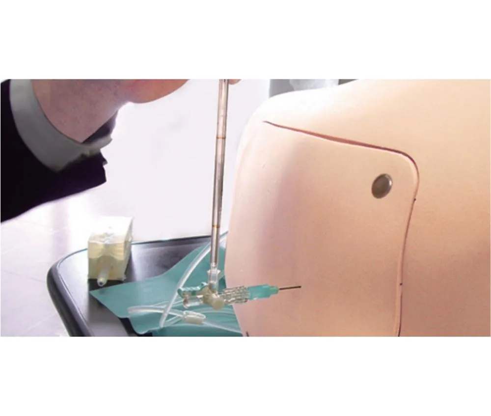 Lumbar Puncture Simulator II