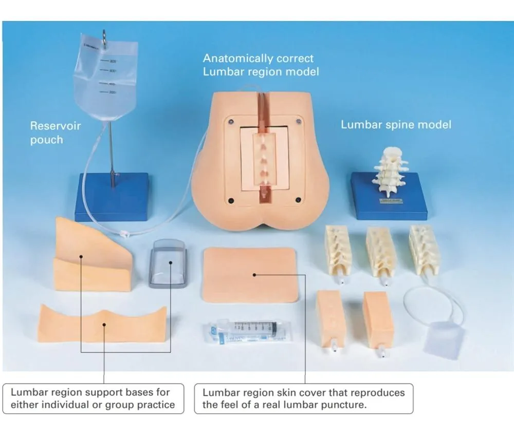 Lumbar Puncture Simulator II