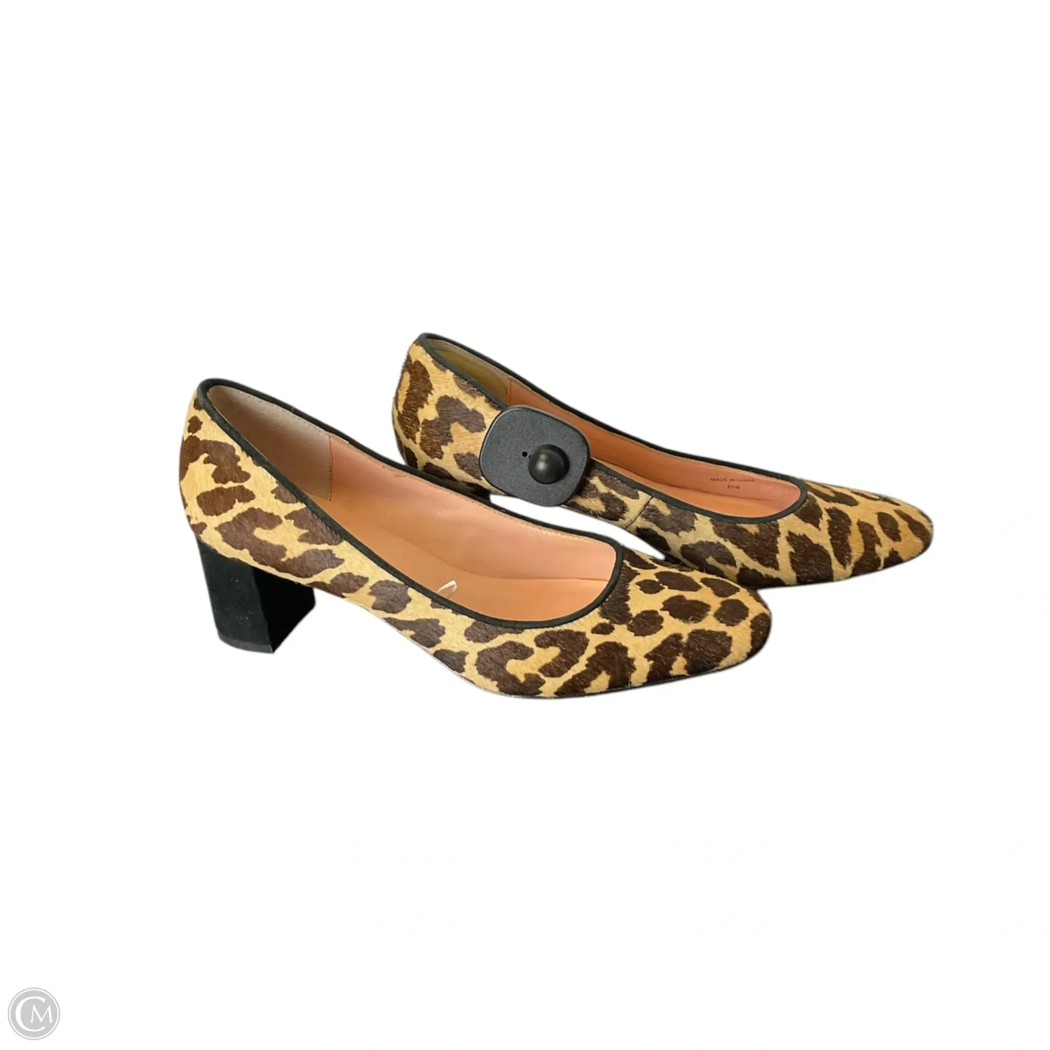 Shoes Designer By Kate Spade In Animal Print, Size: 6.5