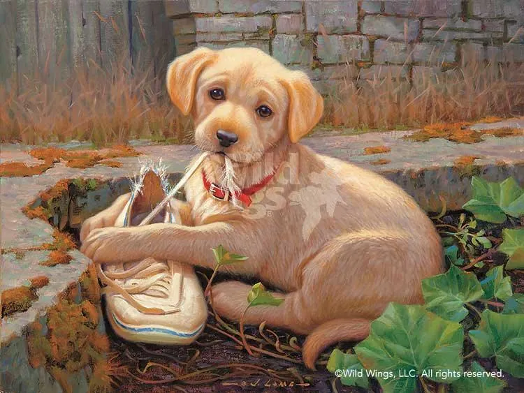 The Missing Shoe - Yellow Lab - Limited Edition Paper