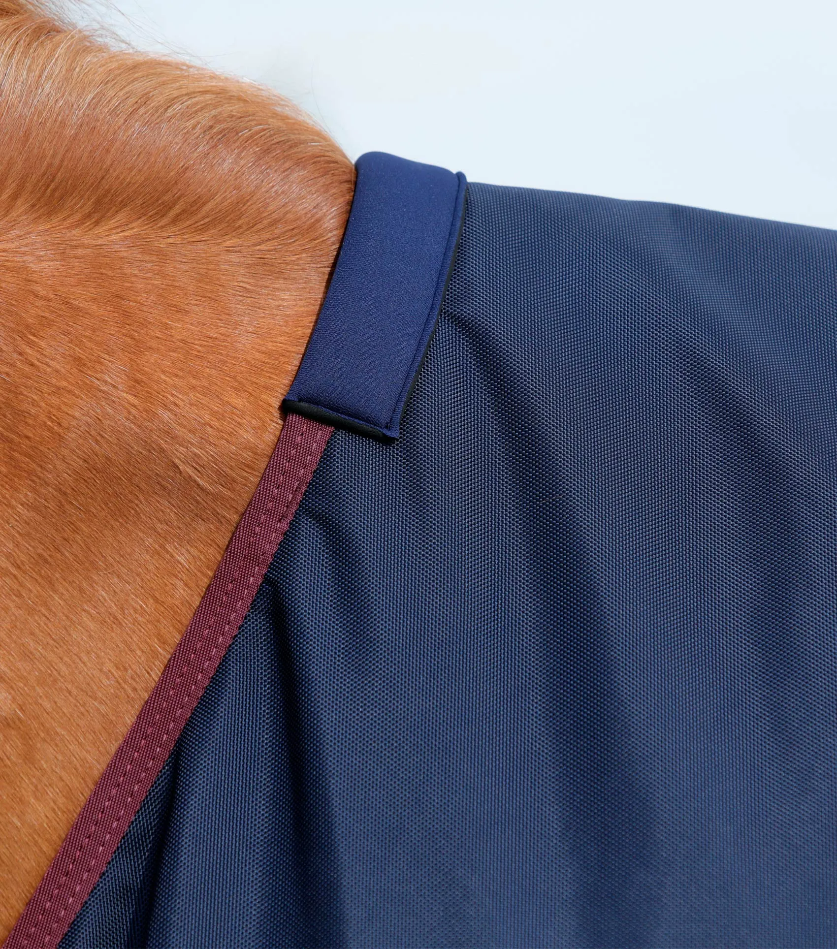 Titan 200g Original Turnout Rug Navy